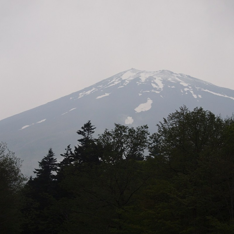 富士山だ！