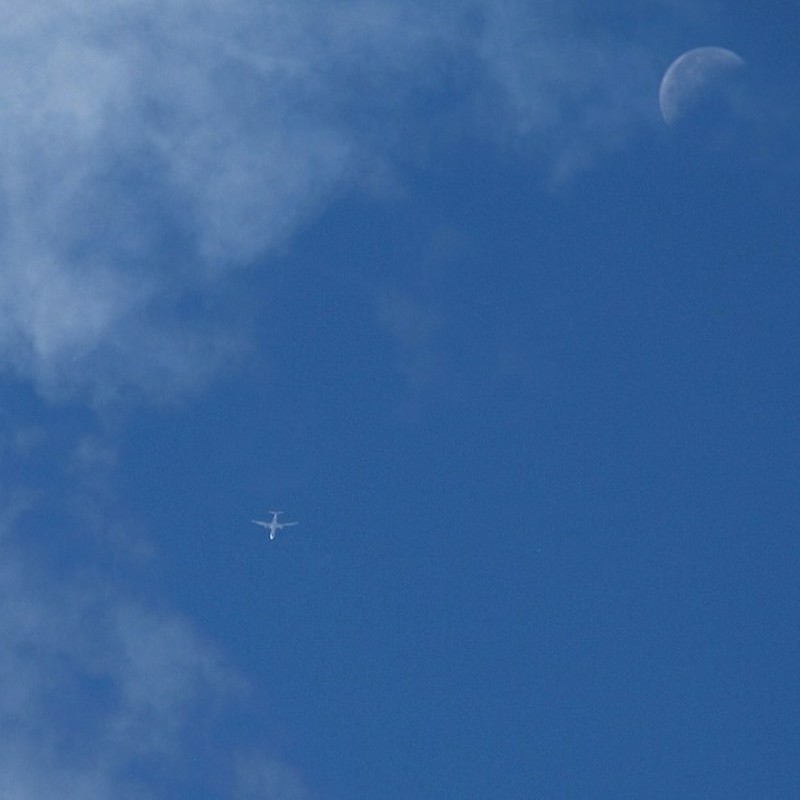 Fly me to the moon♫