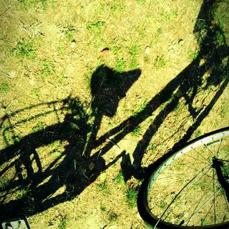 自転車の影