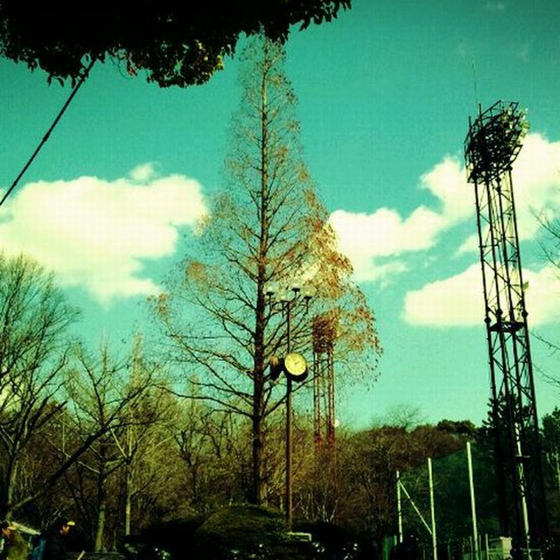 野球少年たちの午後