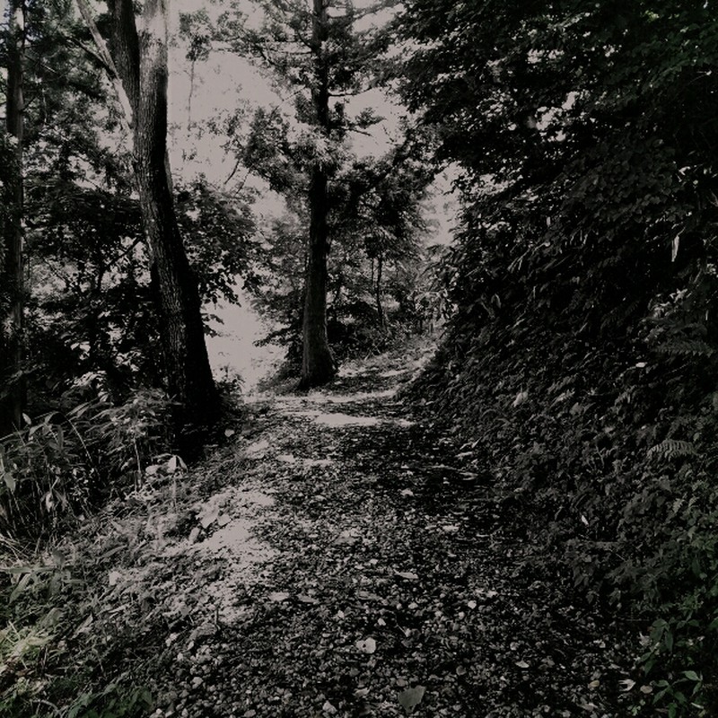 この先には何がある?