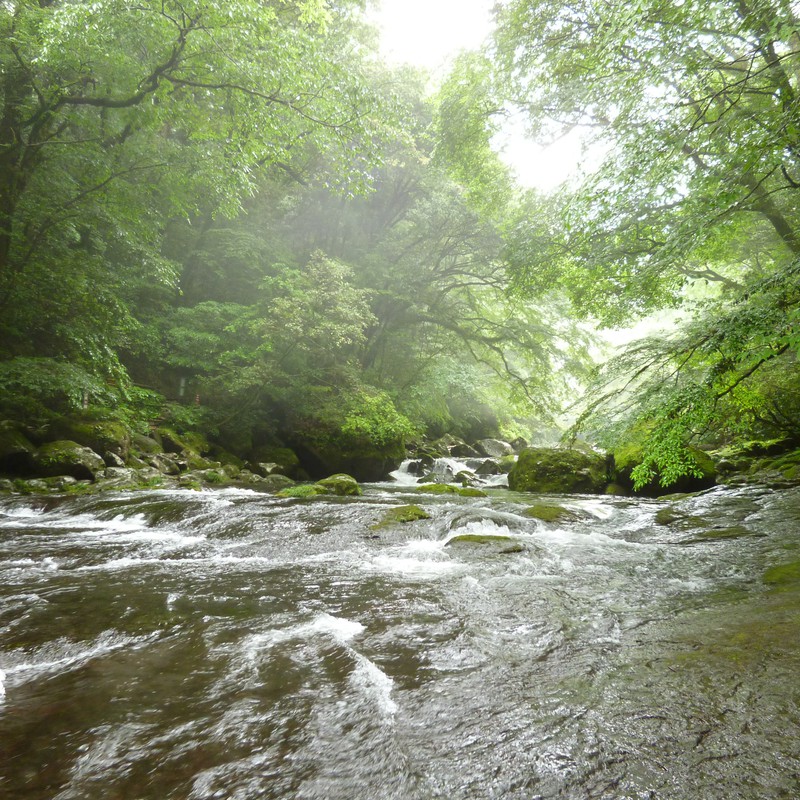 マイナスイオン