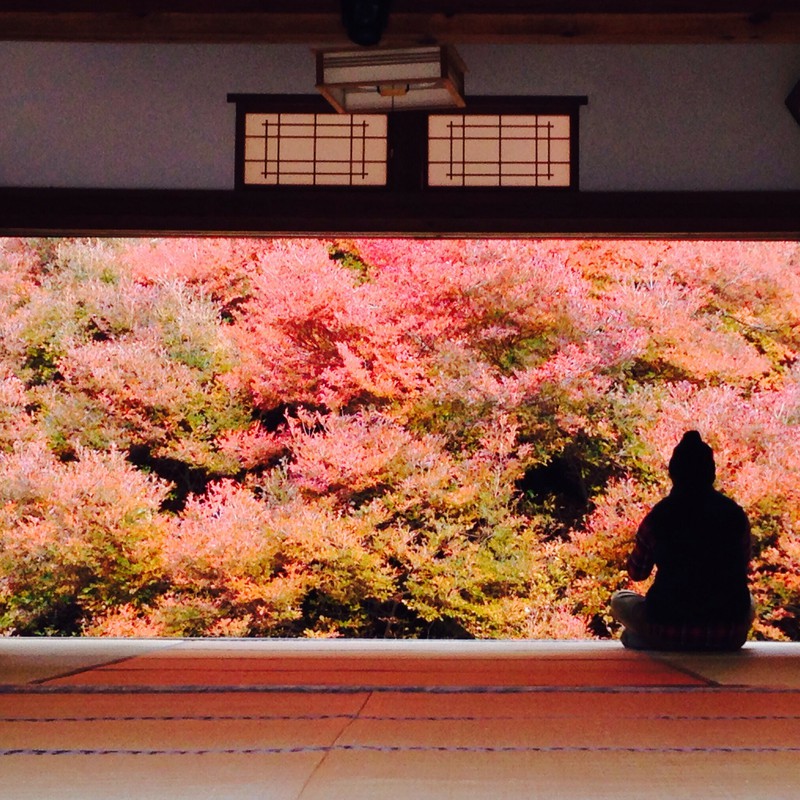 お久しぶりです