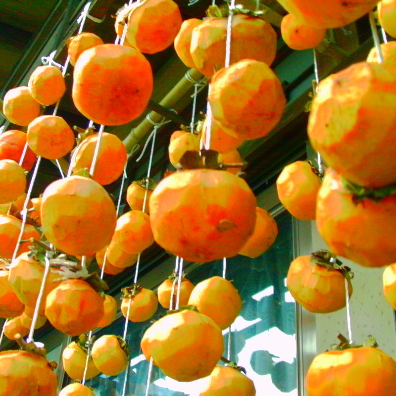 おいしい柿に・・・