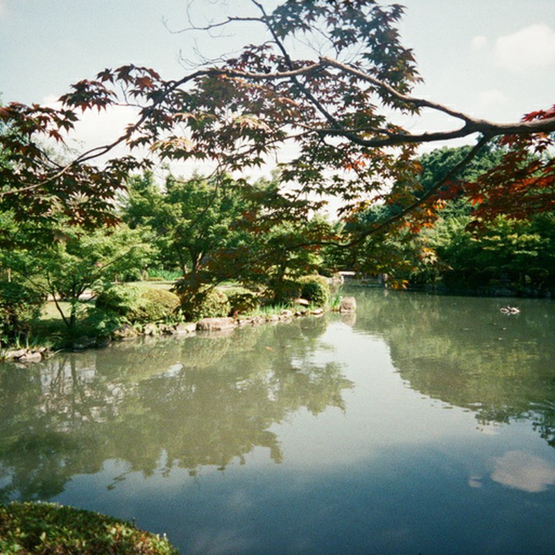 東寺の池
