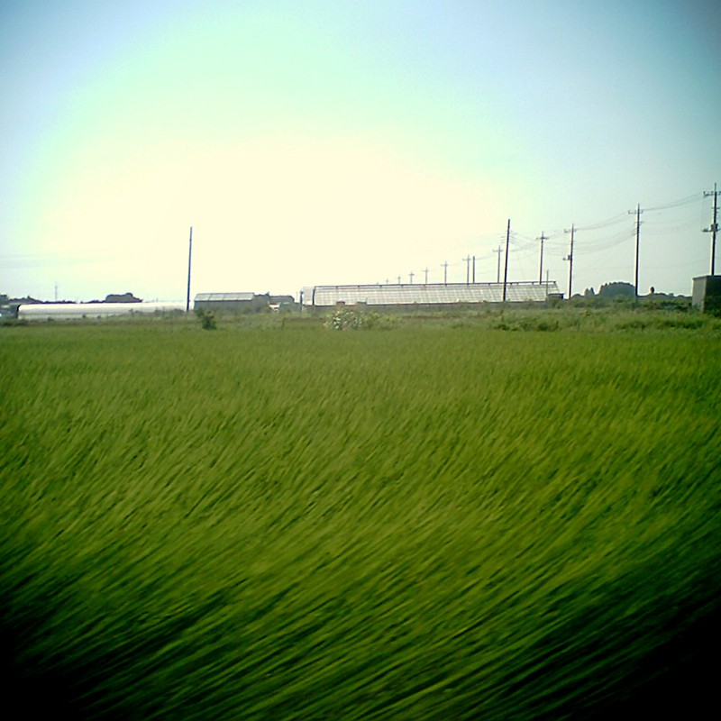 草原