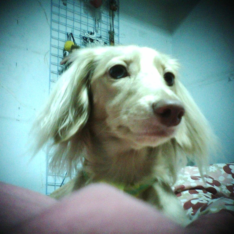 就是不看鏡頭!!!