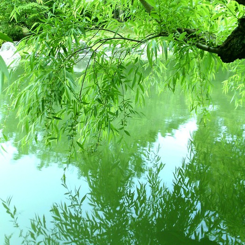 Re: 静かなシャッターチャンス☆