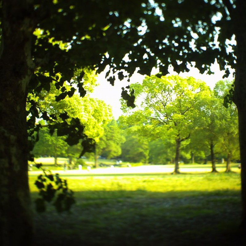 お気に入りの場所