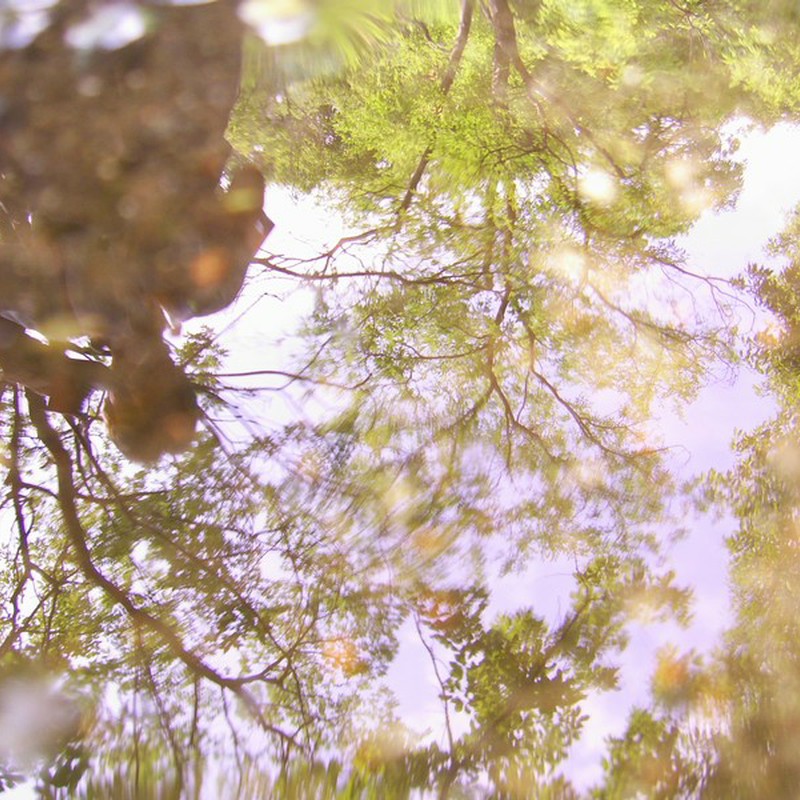 Re: 小さな世界。