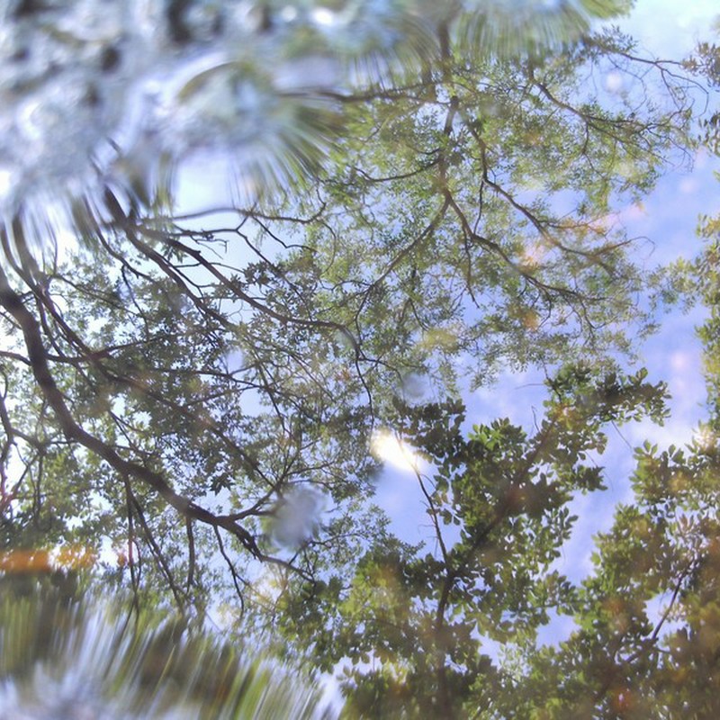 Re: 小さな世界。(2)