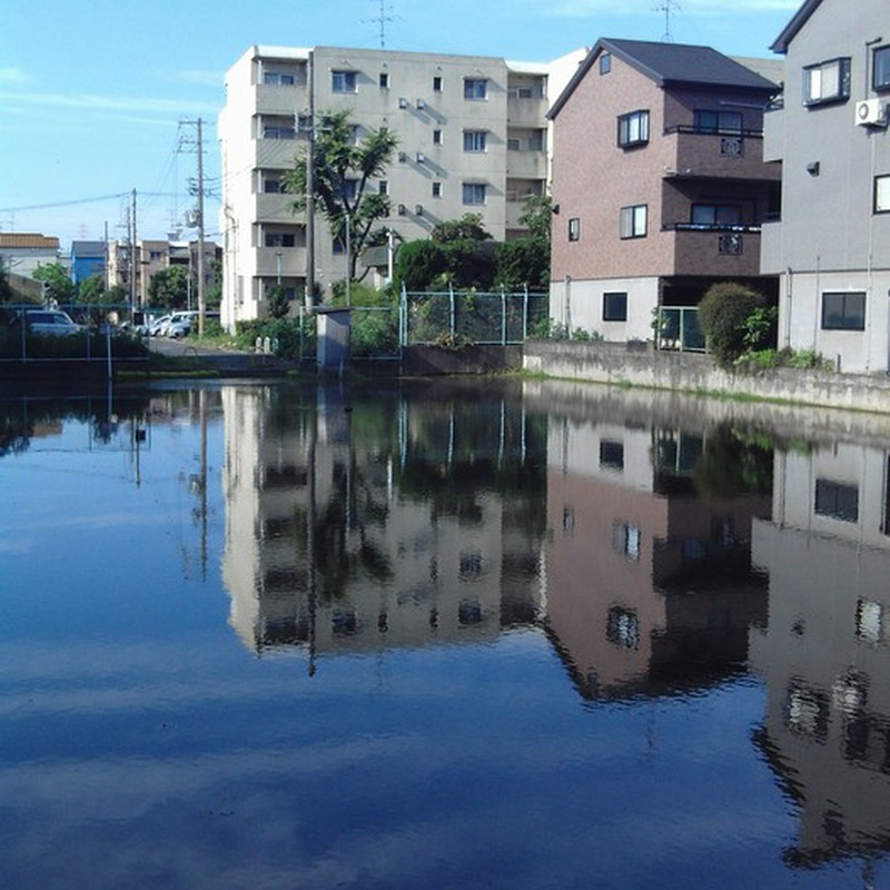 年に一度あるかないか