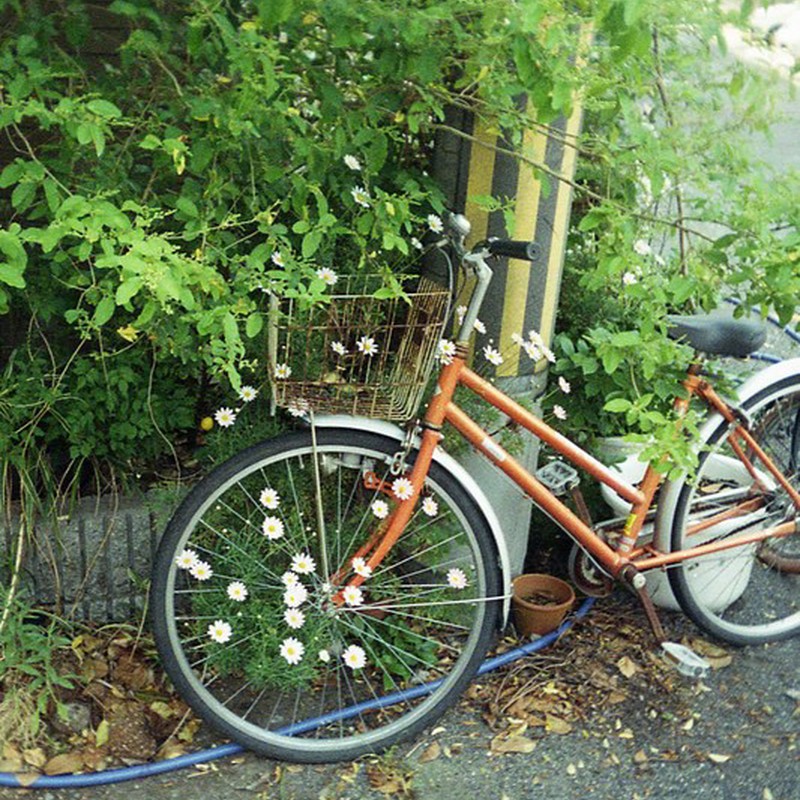 花自転車２