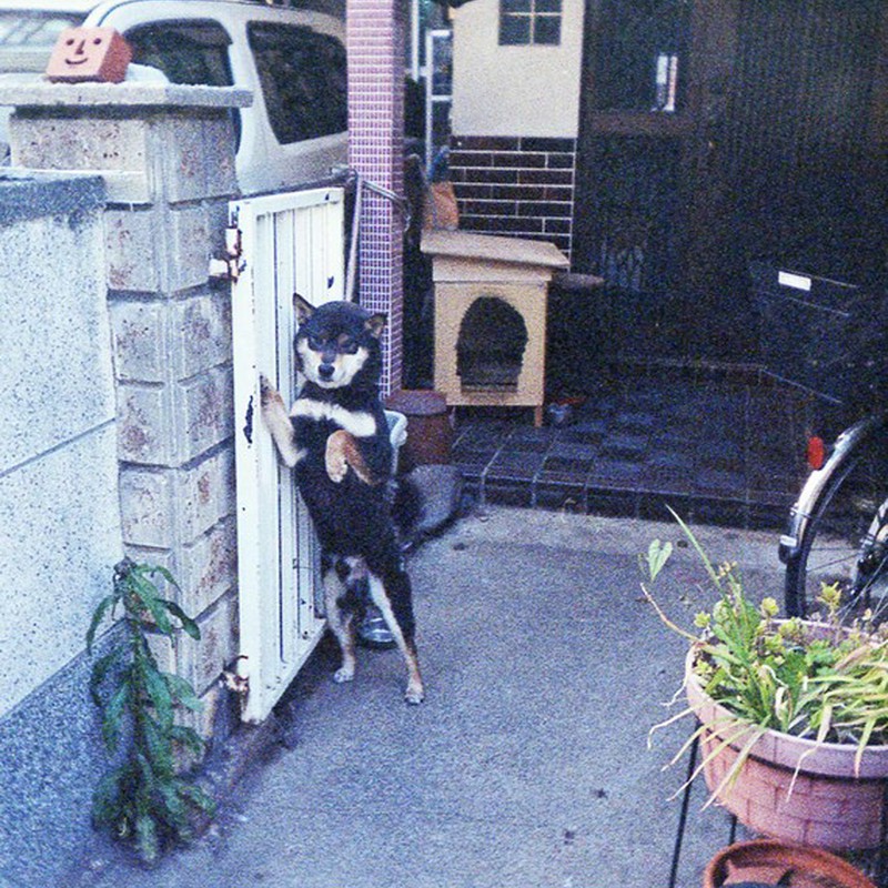 ちょっと寄ってかない?