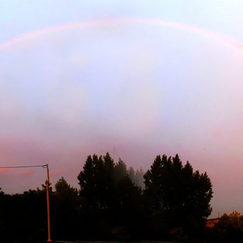 言葉に出来ない