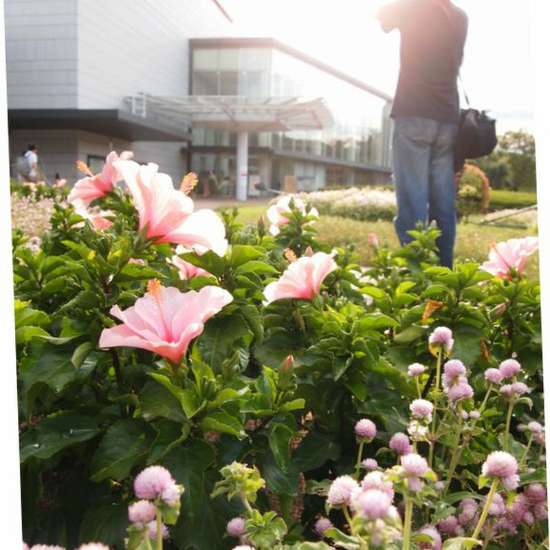 過ぎゆく夏を惜しんで