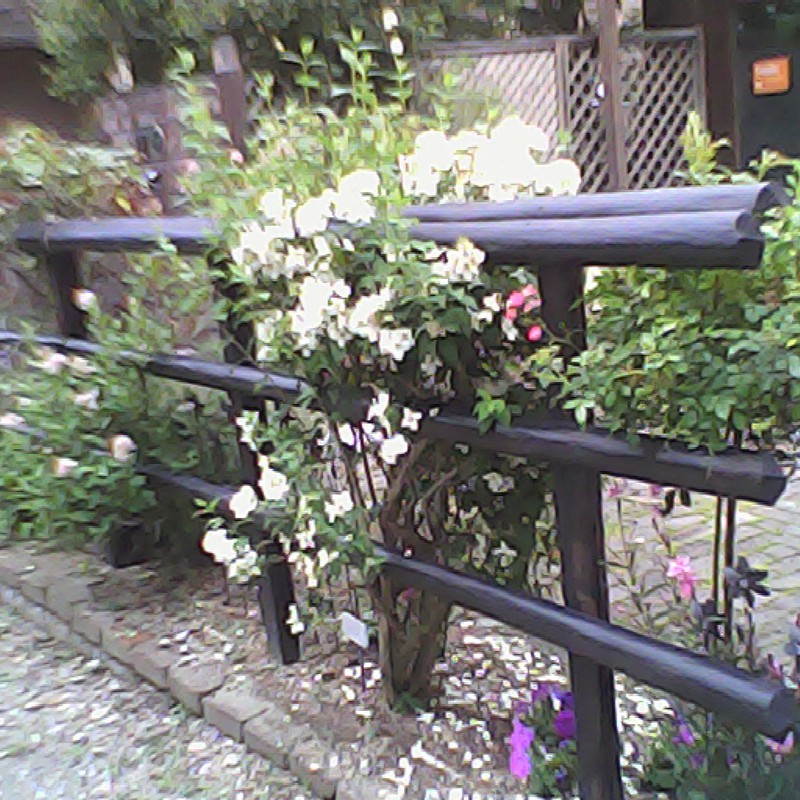 なかなかむずいね