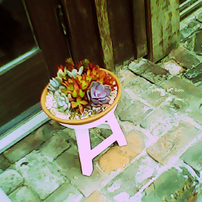 お友達たくさん