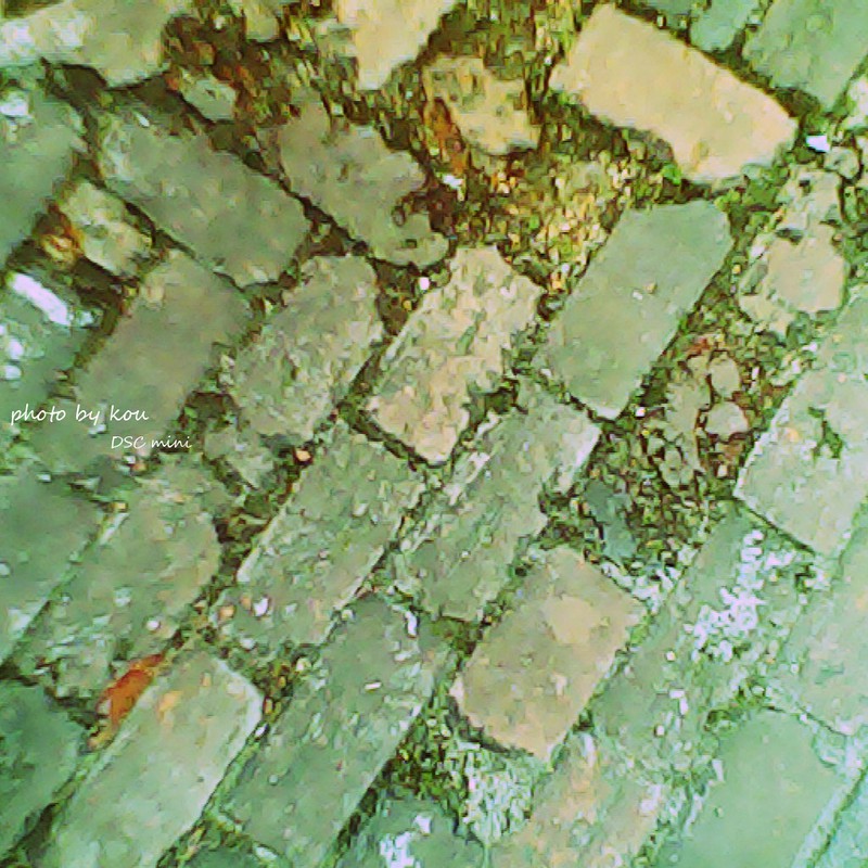 ながらスナップ その1