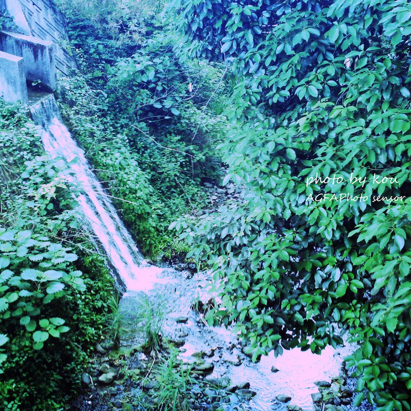 マイナスイオンでてるかな