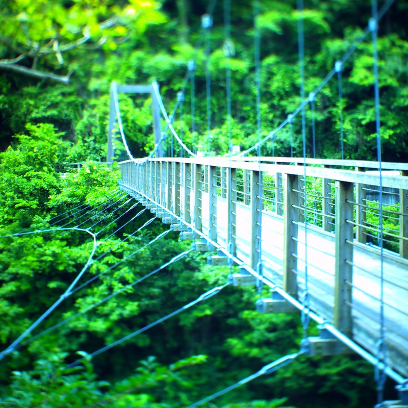 つり橋