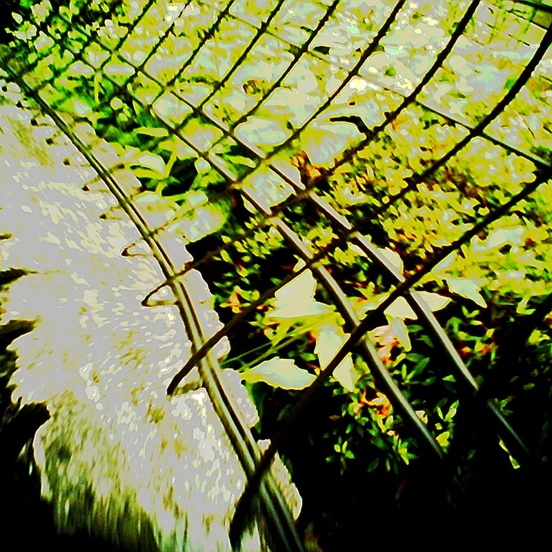 歩き「ながら」スナップ