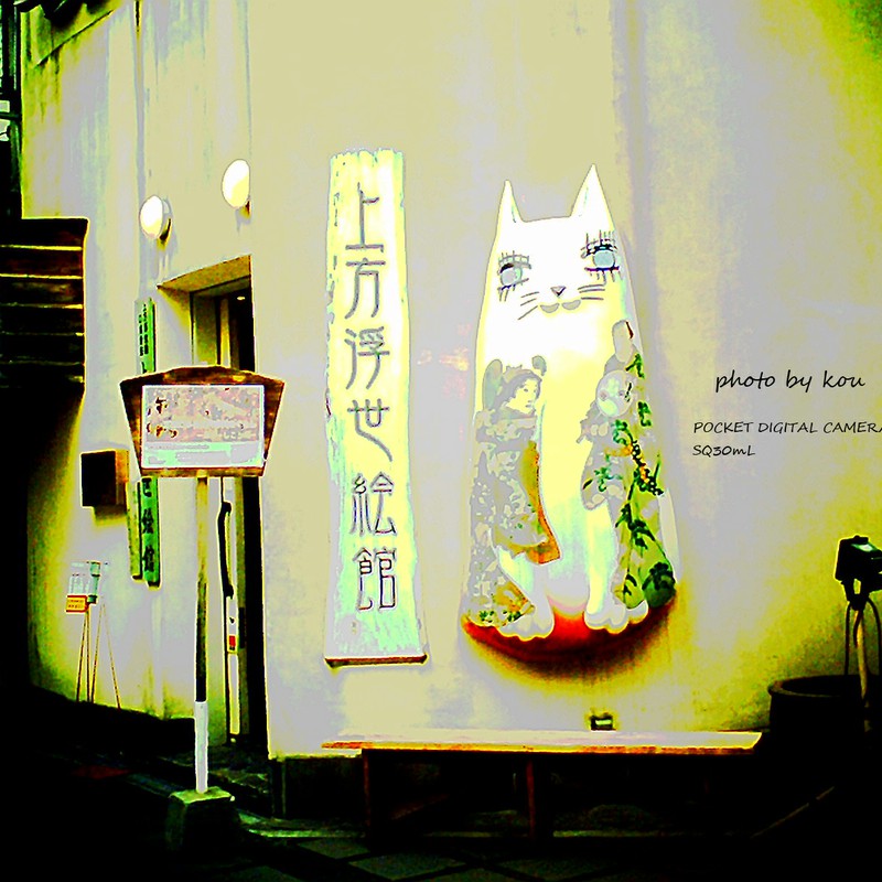 おめめパッチリ猫