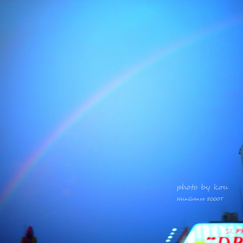 自然界のネオン