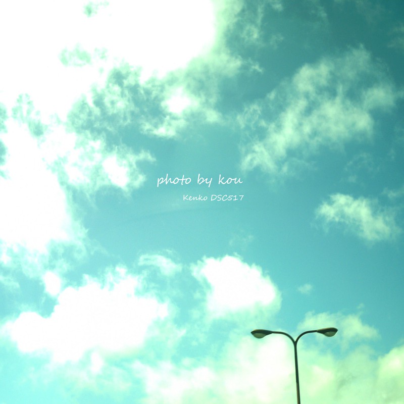 芽が出てきましたw