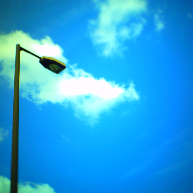 僕と同じ夜行性w