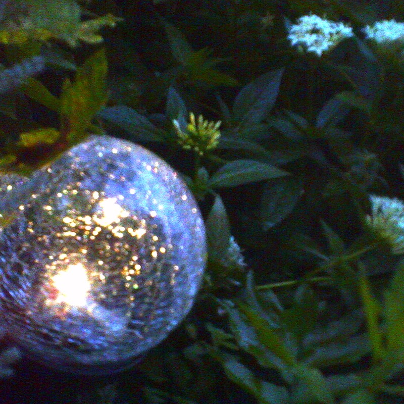 庭の光