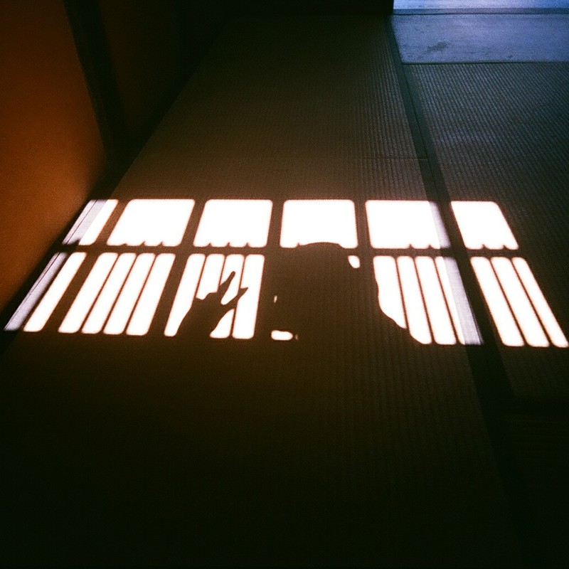 格子の影からお邪魔します。