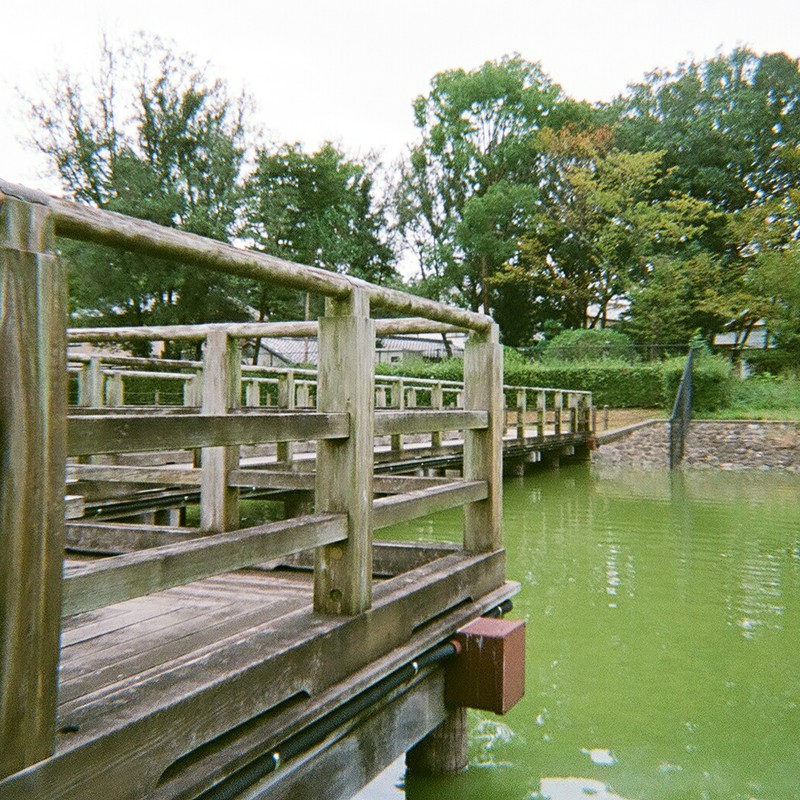 池に架かる橋