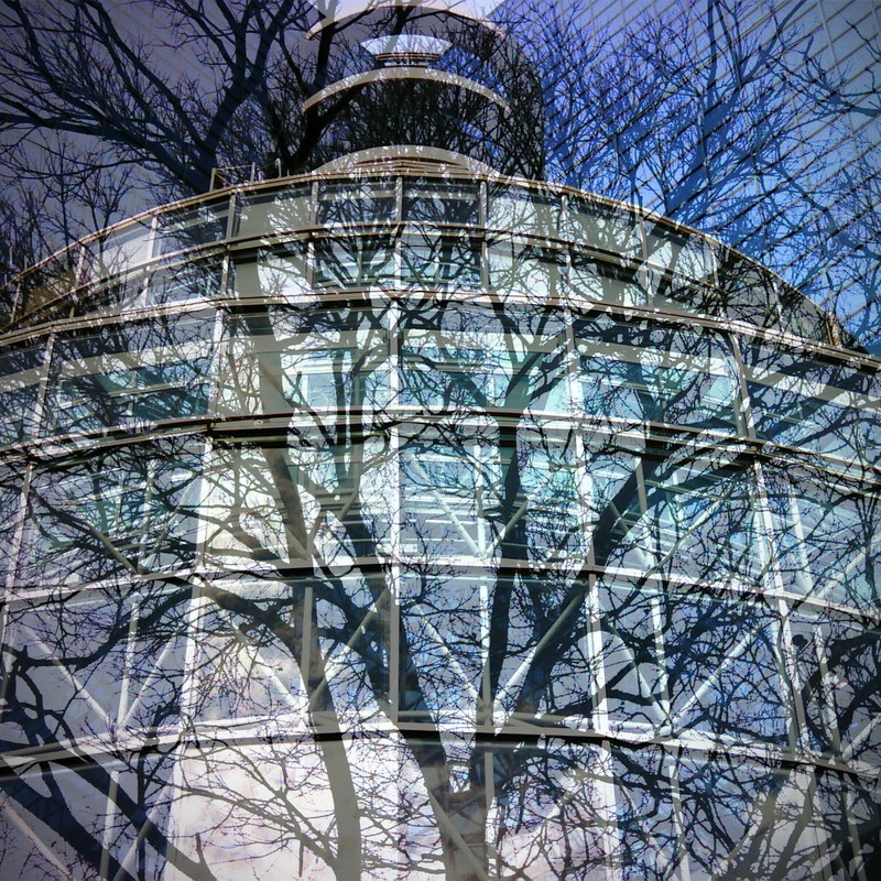 鉄と木の骨組み