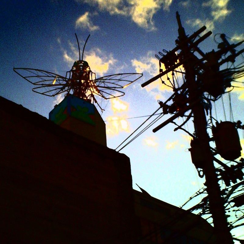 蜂が留まるビル