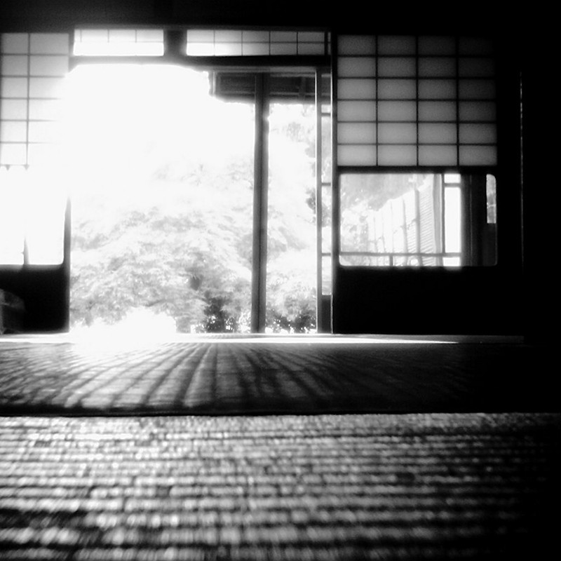 畳の上 夏の陽射し