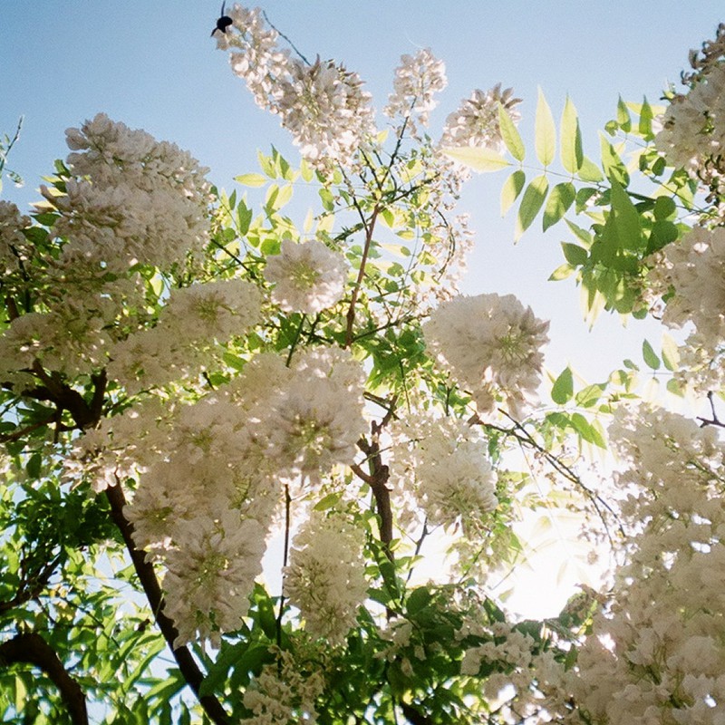 空を見上げれば