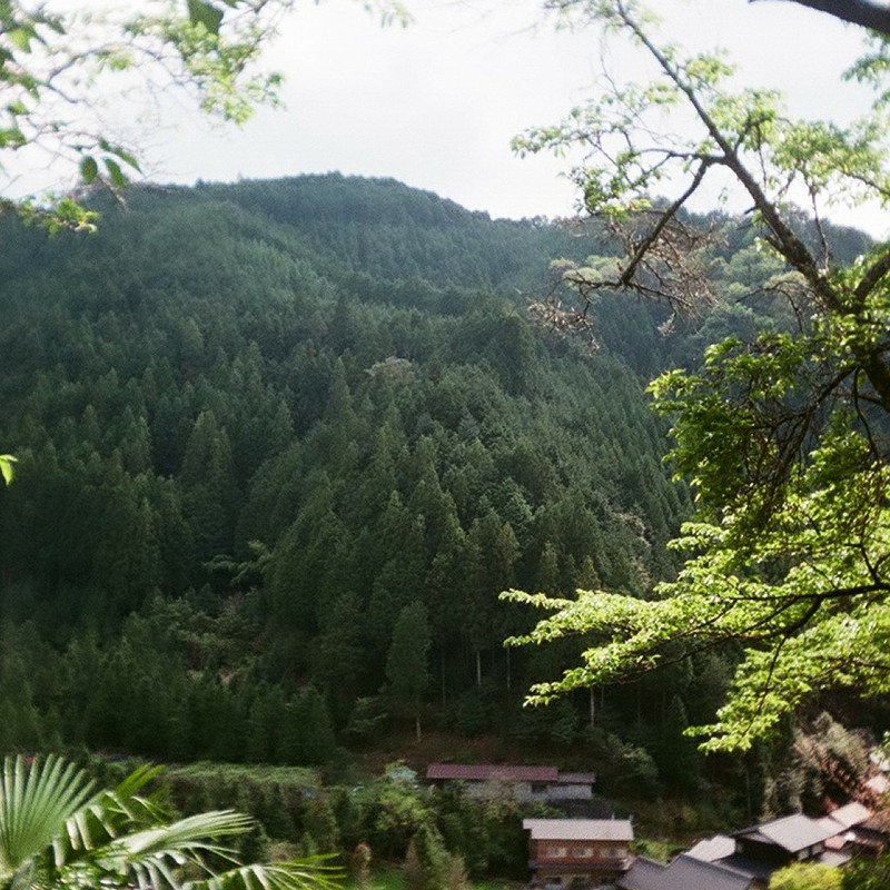 歩いてきた路を