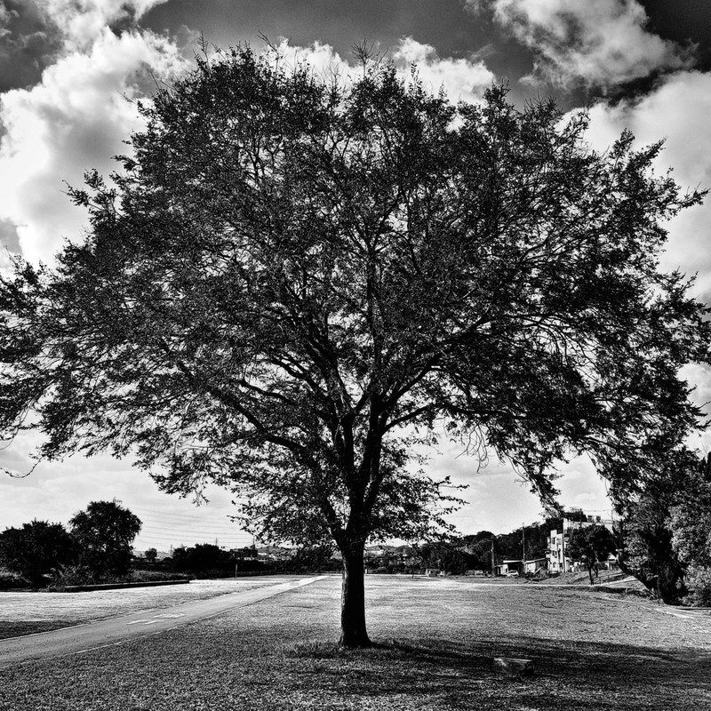 晩秋の空 晩秋の大地
