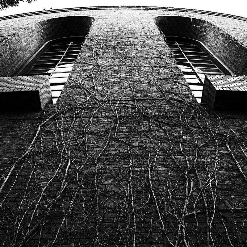 本能を刺激するモノ 『這う』