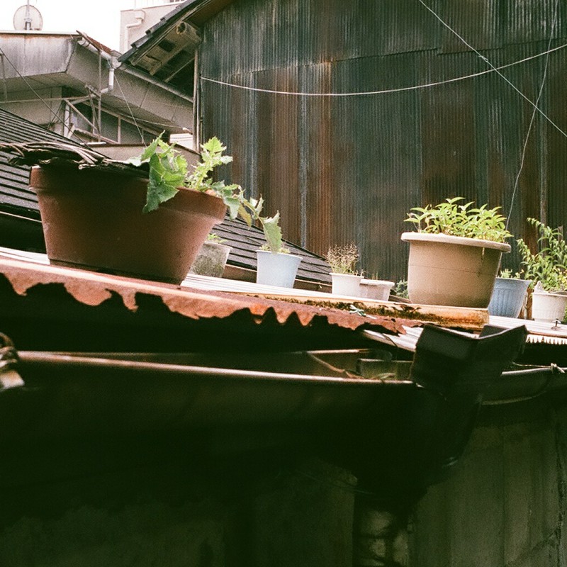 陽のあたる場所