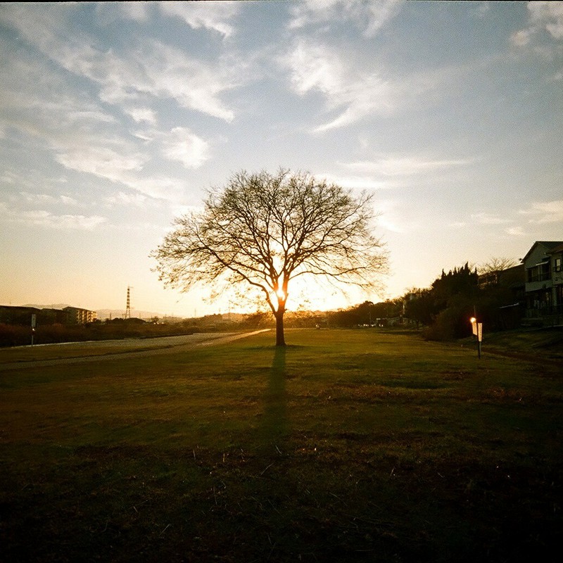 厳冬の空 厳冬の大地