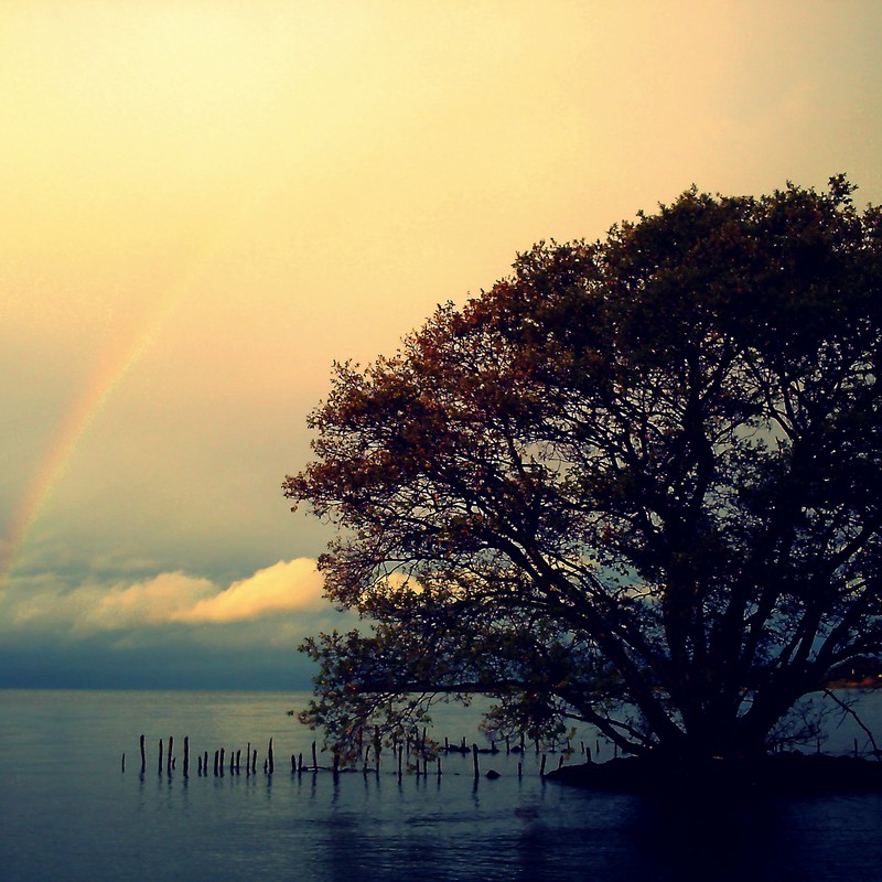雨の止み間に　虹を待ち