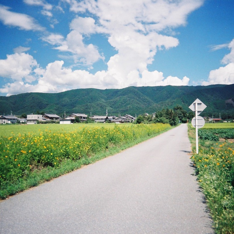 夏の田舎道