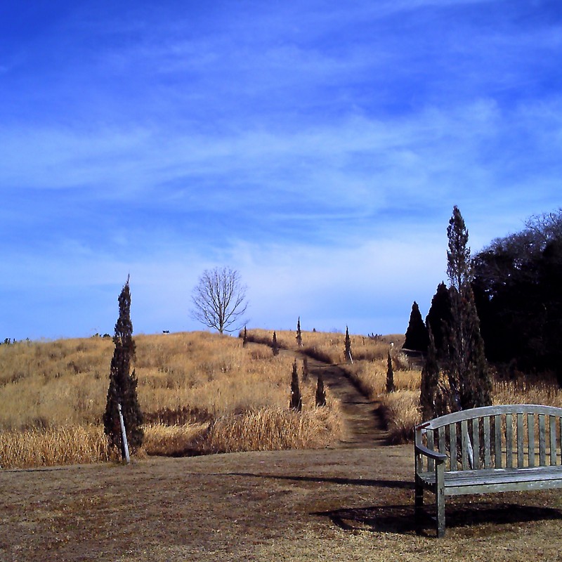 葉祥明阿蘇高原絵本美術館のお庭