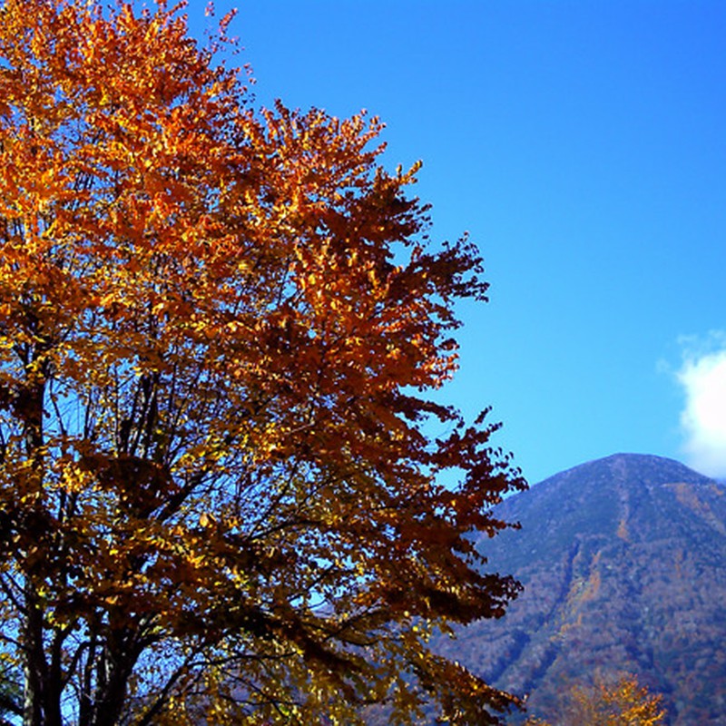 男体山と秋の空