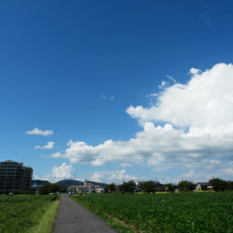 青空×雲