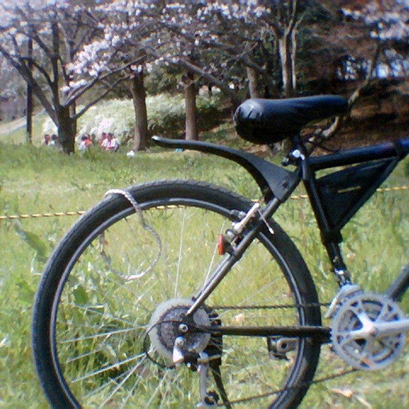 誰かの自転車＆お花見の人たち