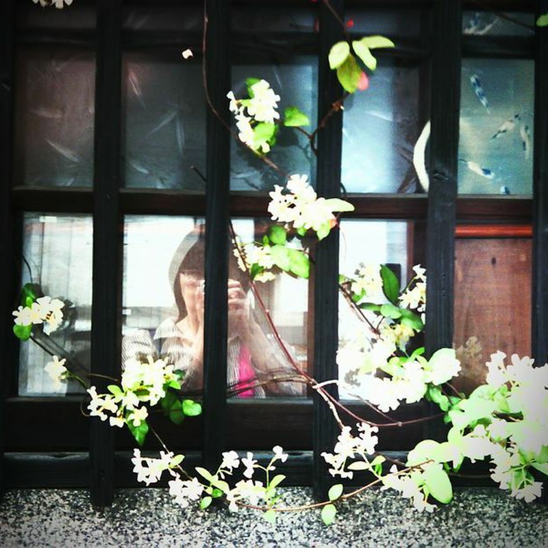 Re: 花のある窓