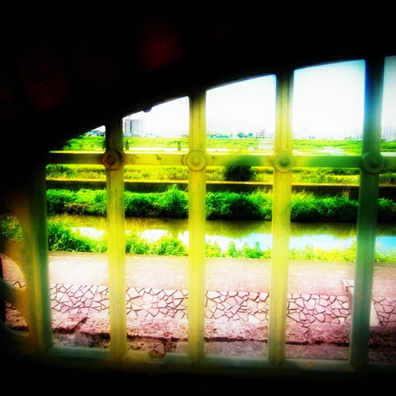 自由を求めて・・